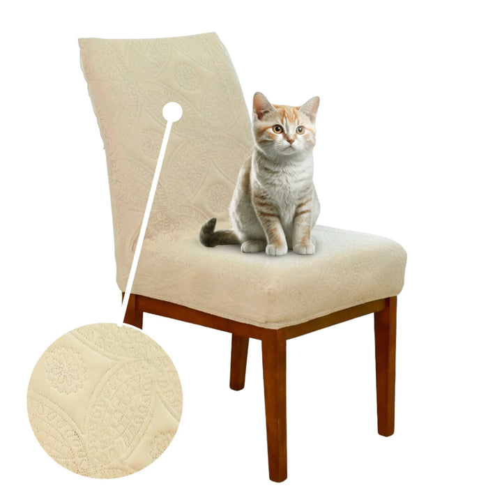 Kit Capas de Cadeira de Jantar Protetoras Anti Arranhoes