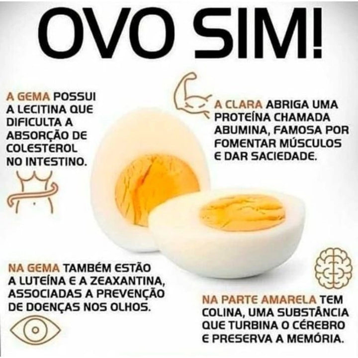 Cozedor Eletrico de Ovos e Legumes a Vapor Multifuncional